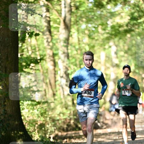 06.10.2024 - Bramfelder Halbmarathon 2024 Dr. Thomas Lammeyer http://msf.ph/oto/7336604 06.10.2024 10:15:55 Laufen 430, 531 meine-sportfotos.de