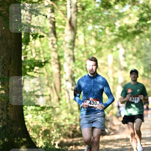 06.10.2024 - Bramfelder Halbmarathon 2024 Dr. Thomas Lammeyer http://msf.ph/oto/7336605 06.10.2024 10:15:55 Laufen 430, 531 meine-sportfotos.de