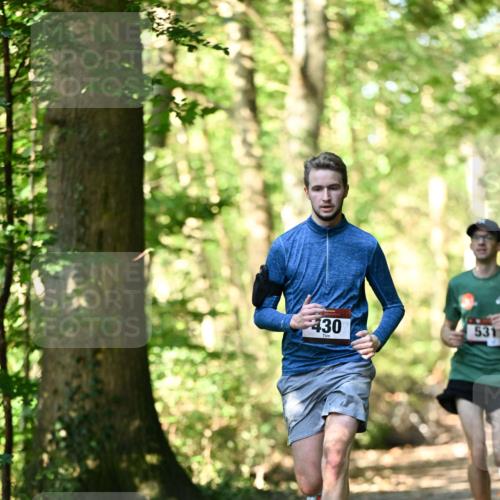 06.10.2024 - Bramfelder Halbmarathon 2024 Dr. Thomas Lammeyer http://msf.ph/oto/7336610 06.10.2024 10:15:56 Laufen 430, 531 meine-sportfotos.de