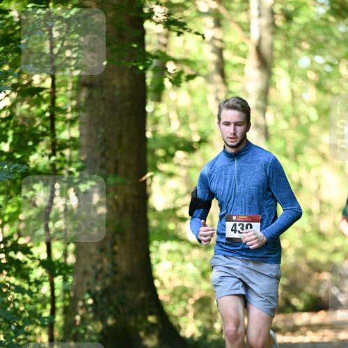 06.10.2024 - Bramfelder Halbmarathon 2024 Dr. Thomas Lammeyer http://msf.ph/oto/7336613 06.10.2024 10:15:57 Laufen 430 meine-sportfotos.de