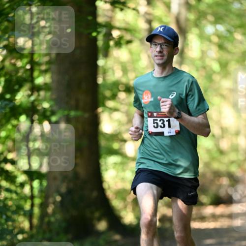 06.10.2024 - Bramfelder Halbmarathon 2024 Dr. Thomas Lammeyer http://msf.ph/oto/7336626 06.10.2024 10:15:59 Laufen 531, 94 meine-sportfotos.de