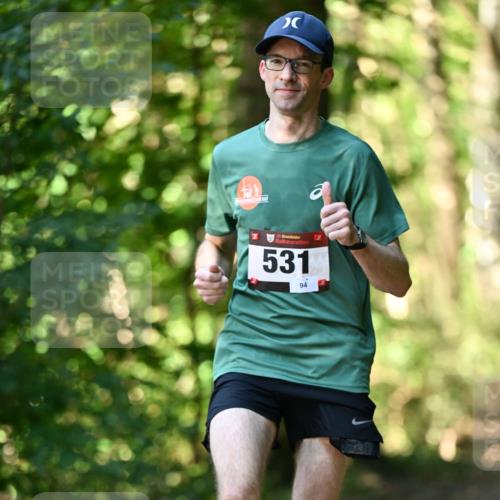 06.10.2024 - Bramfelder Halbmarathon 2024 Dr. Thomas Lammeyer http://msf.ph/oto/7336631 06.10.2024 10:15:59 Laufen 0, 33, 531, 94 meine-sportfotos.de