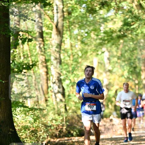 06.10.2024 - Bramfelder Halbmarathon 2024 Dr. Thomas Lammeyer http://msf.ph/oto/7336695 06.10.2024 10:16:32 Laufen 207 meine-sportfotos.de