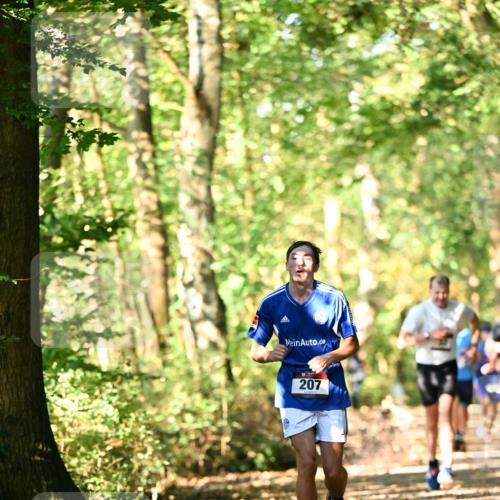 06.10.2024 - Bramfelder Halbmarathon 2024 Dr. Thomas Lammeyer http://msf.ph/oto/7336696 06.10.2024 10:16:32 Laufen 207 meine-sportfotos.de
