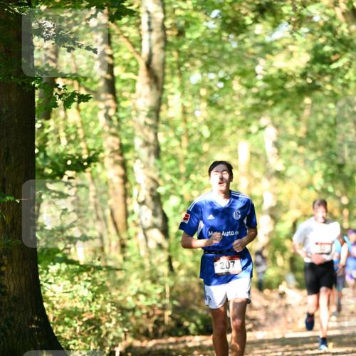 06.10.2024 - Bramfelder Halbmarathon 2024 Dr. Thomas Lammeyer http://msf.ph/oto/7336697 06.10.2024 10:16:32 Laufen 207 meine-sportfotos.de