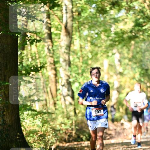 06.10.2024 - Bramfelder Halbmarathon 2024 Dr. Thomas Lammeyer http://msf.ph/oto/7336698 06.10.2024 10:16:32 Laufen 207 meine-sportfotos.de