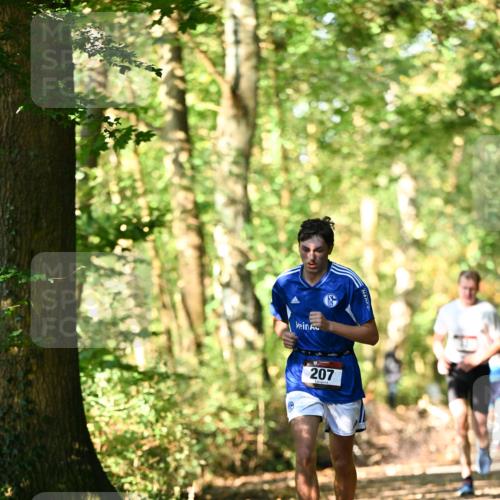 06.10.2024 - Bramfelder Halbmarathon 2024 Dr. Thomas Lammeyer http://msf.ph/oto/7336700 06.10.2024 10:16:33 Laufen 207 meine-sportfotos.de