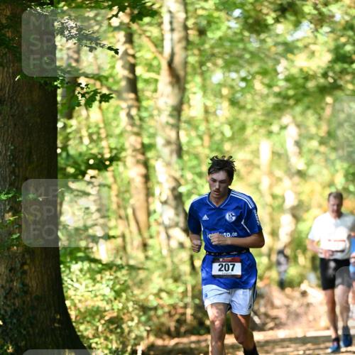 06.10.2024 - Bramfelder Halbmarathon 2024 Dr. Thomas Lammeyer http://msf.ph/oto/7336701 06.10.2024 10:16:33 Laufen 207 meine-sportfotos.de