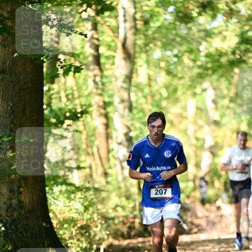 06.10.2024 - Bramfelder Halbmarathon 2024 Dr. Thomas Lammeyer http://msf.ph/oto/7336702 06.10.2024 10:16:33 Laufen 207 meine-sportfotos.de