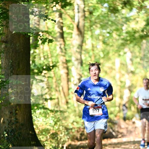 06.10.2024 - Bramfelder Halbmarathon 2024 Dr. Thomas Lammeyer http://msf.ph/oto/7336704 06.10.2024 10:16:33 Laufen 207 meine-sportfotos.de