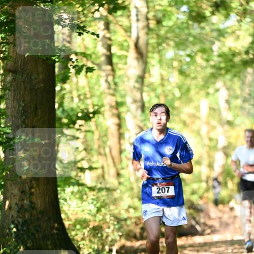 06.10.2024 - Bramfelder Halbmarathon 2024 Dr. Thomas Lammeyer http://msf.ph/oto/7336705 06.10.2024 10:16:33 Laufen 207 meine-sportfotos.de