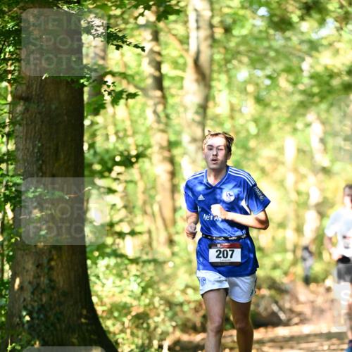 06.10.2024 - Bramfelder Halbmarathon 2024 Dr. Thomas Lammeyer http://msf.ph/oto/7336706 06.10.2024 10:16:34 Laufen 207 meine-sportfotos.de