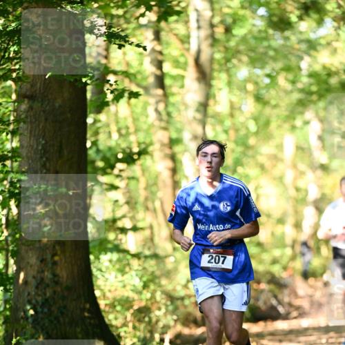06.10.2024 - Bramfelder Halbmarathon 2024 Dr. Thomas Lammeyer http://msf.ph/oto/7336707 06.10.2024 10:16:34 Laufen 207 meine-sportfotos.de