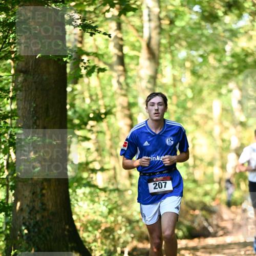 06.10.2024 - Bramfelder Halbmarathon 2024 Dr. Thomas Lammeyer http://msf.ph/oto/7336708 06.10.2024 10:16:34 Laufen 207 meine-sportfotos.de