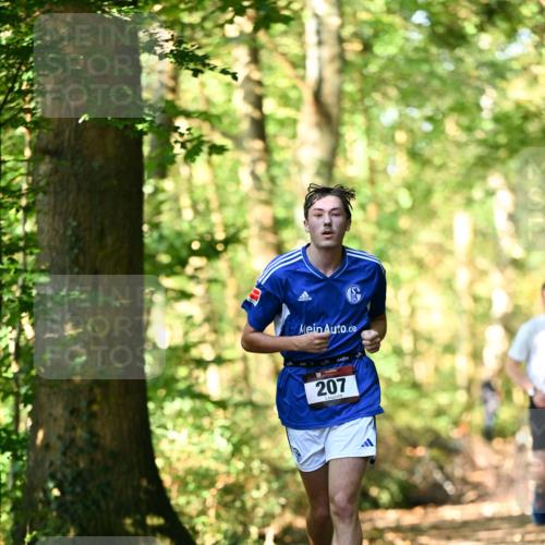 06.10.2024 - Bramfelder Halbmarathon 2024 Dr. Thomas Lammeyer http://msf.ph/oto/7336709 06.10.2024 10:16:34 Laufen 207 meine-sportfotos.de