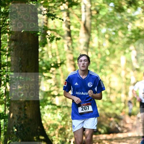 06.10.2024 - Bramfelder Halbmarathon 2024 Dr. Thomas Lammeyer http://msf.ph/oto/7336710 06.10.2024 10:16:34 Laufen 207 meine-sportfotos.de
