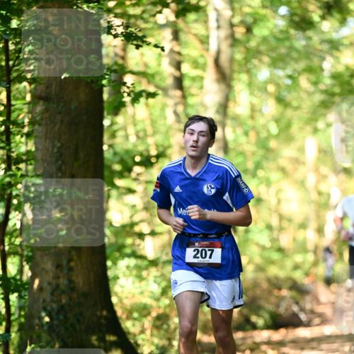 06.10.2024 - Bramfelder Halbmarathon 2024 Dr. Thomas Lammeyer http://msf.ph/oto/7336711 06.10.2024 10:16:34 Laufen 207 meine-sportfotos.de