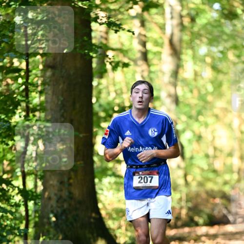 06.10.2024 - Bramfelder Halbmarathon 2024 Dr. Thomas Lammeyer http://msf.ph/oto/7336713 06.10.2024 10:16:34 Laufen 207 meine-sportfotos.de