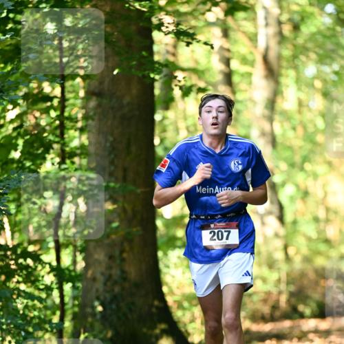 06.10.2024 - Bramfelder Halbmarathon 2024 Dr. Thomas Lammeyer http://msf.ph/oto/7336714 06.10.2024 10:16:35 Laufen 207 meine-sportfotos.de