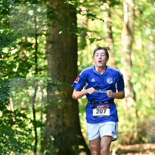 06.10.2024 - Bramfelder Halbmarathon 2024 Dr. Thomas Lammeyer http://msf.ph/oto/7336715 06.10.2024 10:16:35 Laufen 207 meine-sportfotos.de