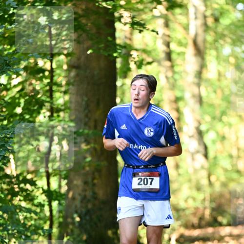 06.10.2024 - Bramfelder Halbmarathon 2024 Dr. Thomas Lammeyer http://msf.ph/oto/7336716 06.10.2024 10:16:35 Laufen 207 meine-sportfotos.de