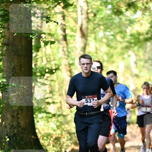06.10.2024 - Bramfelder Halbmarathon 2024 Dr. Thomas Lammeyer http://msf.ph/oto/7336743 06.10.2024 10:16:41 Laufen 537 meine-sportfotos.de