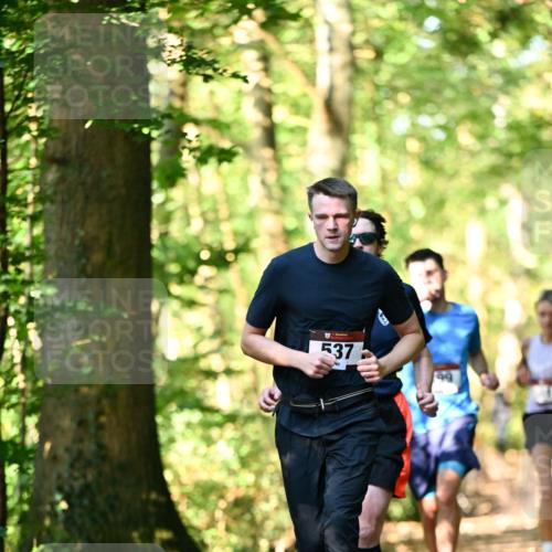 06.10.2024 - Bramfelder Halbmarathon 2024 Dr. Thomas Lammeyer http://msf.ph/oto/7336745 06.10.2024 10:16:41 Laufen 537 meine-sportfotos.de
