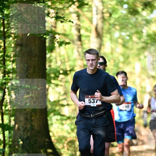 06.10.2024 - Bramfelder Halbmarathon 2024 Dr. Thomas Lammeyer http://msf.ph/oto/7336746 06.10.2024 10:16:41 Laufen 537, 199 meine-sportfotos.de