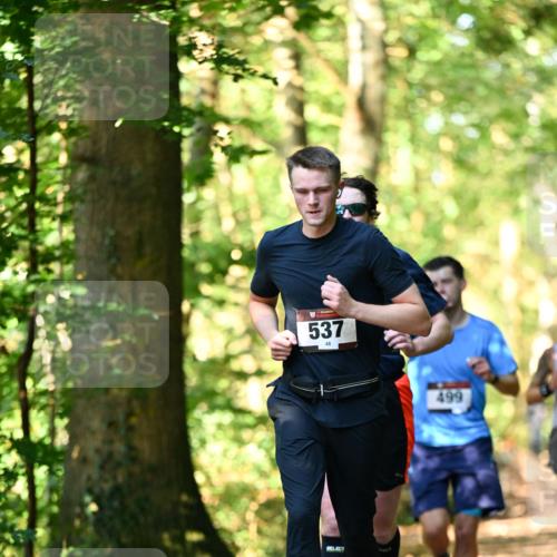 06.10.2024 - Bramfelder Halbmarathon 2024 Dr. Thomas Lammeyer http://msf.ph/oto/7336747 06.10.2024 10:16:42 Laufen 537, 499 meine-sportfotos.de