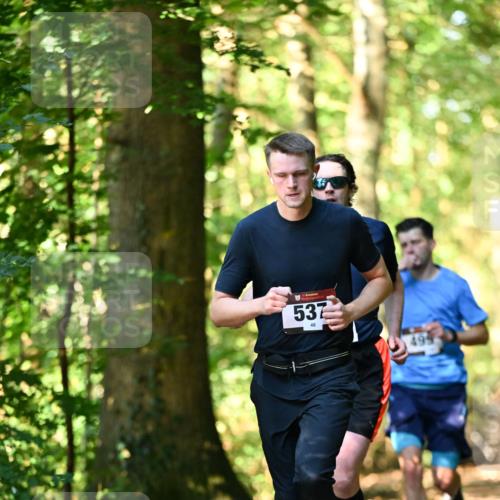 06.10.2024 - Bramfelder Halbmarathon 2024 Dr. Thomas Lammeyer http://msf.ph/oto/7336749 06.10.2024 10:16:42 Laufen 537, 499 meine-sportfotos.de