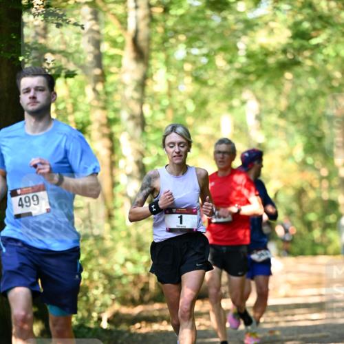 06.10.2024 - Bramfelder Halbmarathon 2024 Dr. Thomas Lammeyer http://msf.ph/oto/7336756 06.10.2024 10:16:44 Laufen 499 meine-sportfotos.de