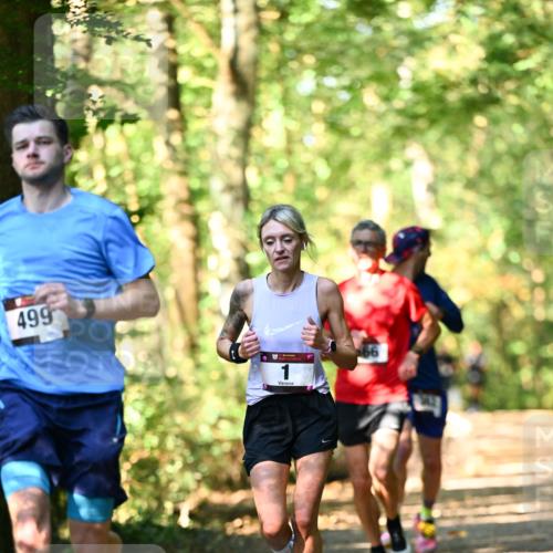 06.10.2024 - Bramfelder Halbmarathon 2024 Dr. Thomas Lammeyer http://msf.ph/oto/7336757 06.10.2024 10:16:44 Laufen 499, 1, 66 meine-sportfotos.de