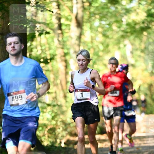 06.10.2024 - Bramfelder Halbmarathon 2024 Dr. Thomas Lammeyer http://msf.ph/oto/7336758 06.10.2024 10:16:44 Laufen 499, 566 meine-sportfotos.de