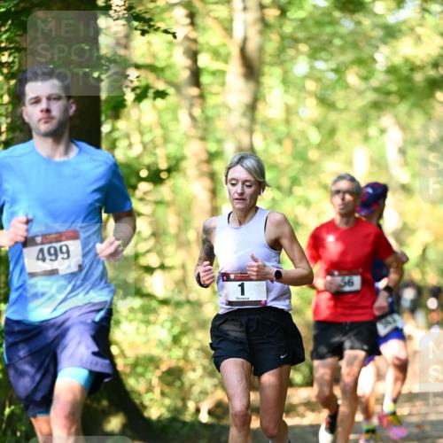 06.10.2024 - Bramfelder Halbmarathon 2024 Dr. Thomas Lammeyer http://msf.ph/oto/7336759 06.10.2024 10:16:44 Laufen 499, 1, 303 meine-sportfotos.de