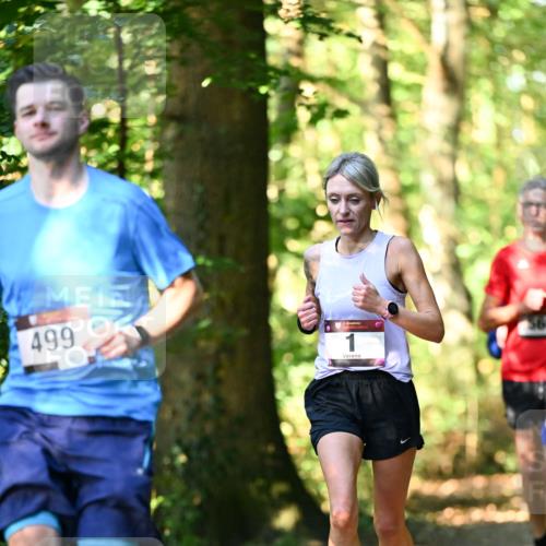 06.10.2024 - Bramfelder Halbmarathon 2024 Dr. Thomas Lammeyer http://msf.ph/oto/7336763 06.10.2024 10:16:45 Laufen 499, 56 meine-sportfotos.de