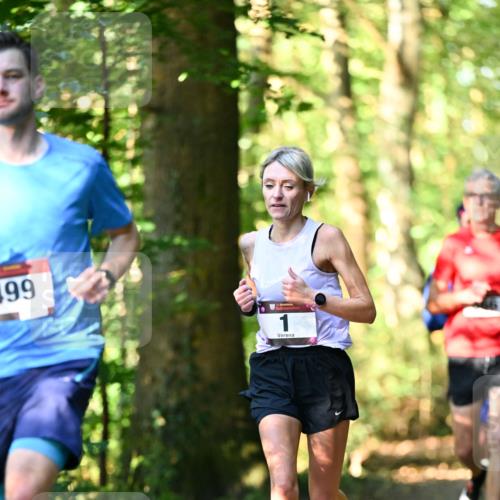 06.10.2024 - Bramfelder Halbmarathon 2024 Dr. Thomas Lammeyer http://msf.ph/oto/7336764 06.10.2024 10:16:45 Laufen 199, 1 meine-sportfotos.de