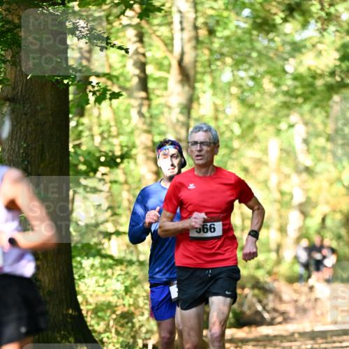 06.10.2024 - Bramfelder Halbmarathon 2024 Dr. Thomas Lammeyer http://msf.ph/oto/7336765 06.10.2024 10:16:46 Laufen 999 meine-sportfotos.de