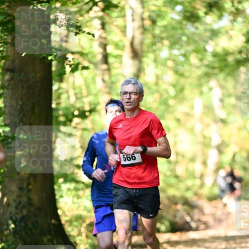06.10.2024 - Bramfelder Halbmarathon 2024 Dr. Thomas Lammeyer http://msf.ph/oto/7336767 06.10.2024 10:16:46 Laufen 566 meine-sportfotos.de