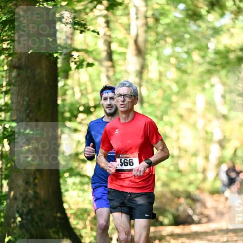 06.10.2024 - Bramfelder Halbmarathon 2024 Dr. Thomas Lammeyer http://msf.ph/oto/7336768 06.10.2024 10:16:46 Laufen 566 meine-sportfotos.de