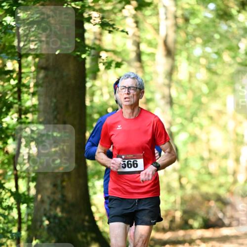 06.10.2024 - Bramfelder Halbmarathon 2024 Dr. Thomas Lammeyer http://msf.ph/oto/7336771 06.10.2024 10:16:46 Laufen 566 meine-sportfotos.de