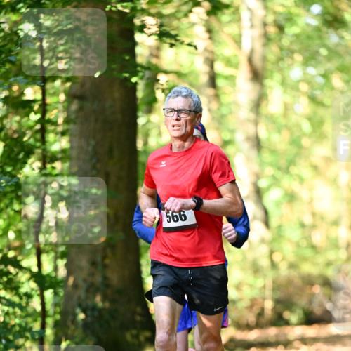 06.10.2024 - Bramfelder Halbmarathon 2024 Dr. Thomas Lammeyer http://msf.ph/oto/7336772 06.10.2024 10:16:47 Laufen 11, 566, 66 meine-sportfotos.de