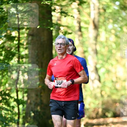 06.10.2024 - Bramfelder Halbmarathon 2024 Dr. Thomas Lammeyer http://msf.ph/oto/7336773 06.10.2024 10:16:47 Laufen 566 meine-sportfotos.de