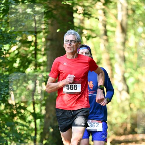 06.10.2024 - Bramfelder Halbmarathon 2024 Dr. Thomas Lammeyer http://msf.ph/oto/7336775 06.10.2024 10:16:47 Laufen 566, 362 meine-sportfotos.de