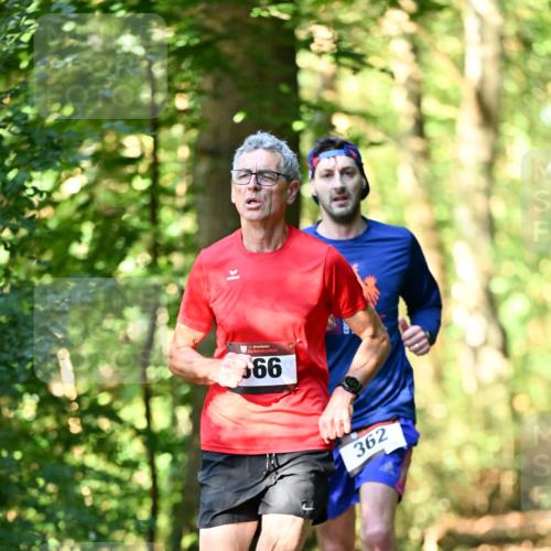 06.10.2024 - Bramfelder Halbmarathon 2024 Dr. Thomas Lammeyer http://msf.ph/oto/7336776 06.10.2024 10:16:47 Laufen 66, 362 meine-sportfotos.de
