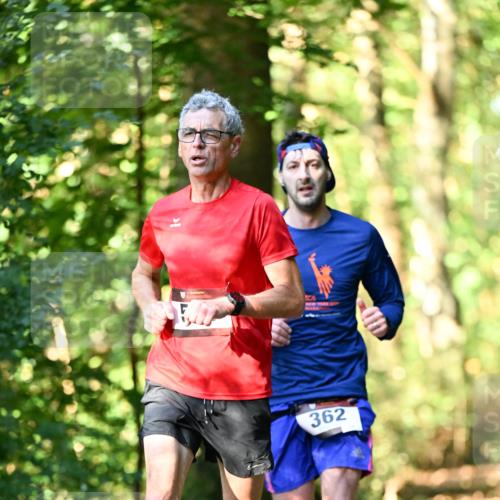 06.10.2024 - Bramfelder Halbmarathon 2024 Dr. Thomas Lammeyer http://msf.ph/oto/7336777 06.10.2024 10:16:47 Laufen 362 meine-sportfotos.de