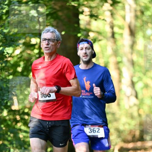 06.10.2024 - Bramfelder Halbmarathon 2024 Dr. Thomas Lammeyer http://msf.ph/oto/7336778 06.10.2024 10:16:47 Laufen 566, 362 meine-sportfotos.de
