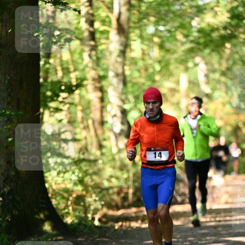 06.10.2024 - Bramfelder Halbmarathon 2024 Dr. Thomas Lammeyer http://msf.ph/oto/7336826 06.10.2024 10:17:19 Laufen 14 meine-sportfotos.de