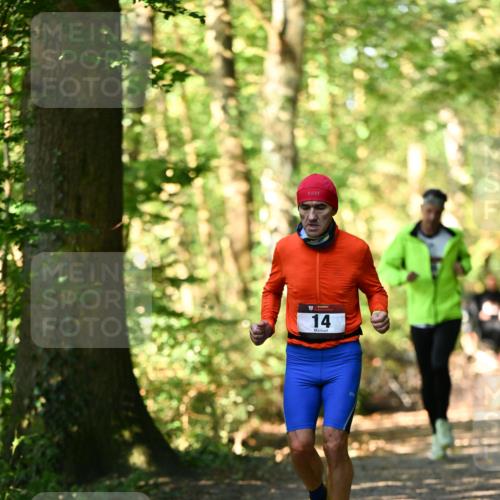 06.10.2024 - Bramfelder Halbmarathon 2024 Dr. Thomas Lammeyer http://msf.ph/oto/7336828 06.10.2024 10:17:19 Laufen 14 meine-sportfotos.de