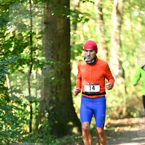 06.10.2024 - Bramfelder Halbmarathon 2024 Dr. Thomas Lammeyer http://msf.ph/oto/7336833 06.10.2024 10:17:20 Laufen 14 meine-sportfotos.de