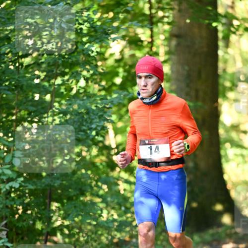 06.10.2024 - Bramfelder Halbmarathon 2024 Dr. Thomas Lammeyer http://msf.ph/oto/7336839 06.10.2024 10:17:21 Laufen 14 meine-sportfotos.de